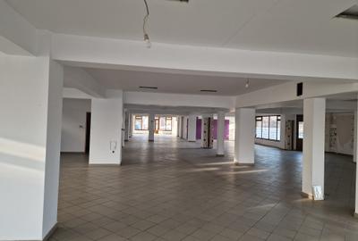 Spațiu comercial, 520 mp în Burdujeni
