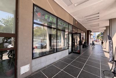 Spatiu Comercial - Sala Palatului - Ion Campineanu - 2