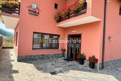 Casa de vacanta-pensiune - 8