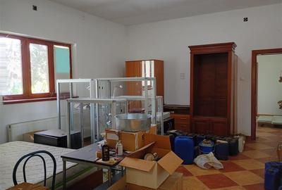 Hala industriala + Casa+ 9650 mp teren - 20