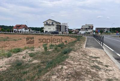 Teren agricol intravilan de 1629 mp, în Haieu