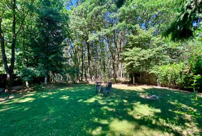 Casa Vermont, cu Padure Privata, Paradisul Verde, teren 1800mp, gradina matura - 10