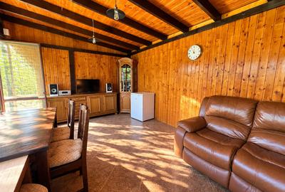 Casa 3 camere Buftea - 18