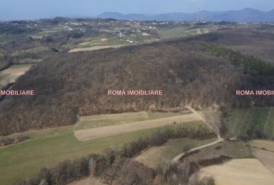 Teren superb de vânzare în Dumbrăvița – 3.750 mp - 6