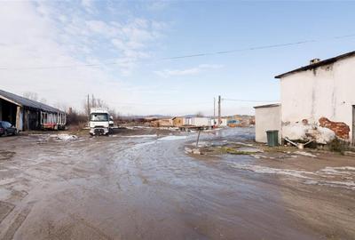 RECO . Proprietate industriala Tileagd . - 20