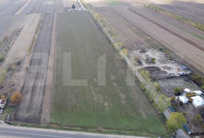 Teren Construcții intravilan de 47150 mp, în Crângurile
