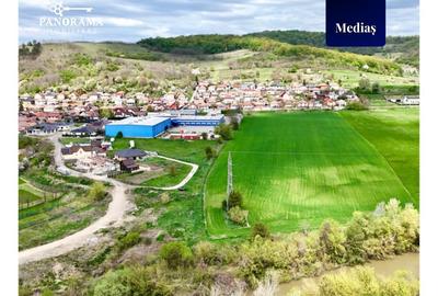 Teren intravilan de 10300 mp de vânzare Mediaș - 5