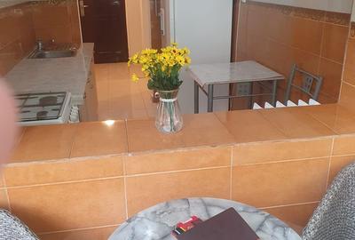 Apartament 2 camere Berceni-Nitu Vasile - 8