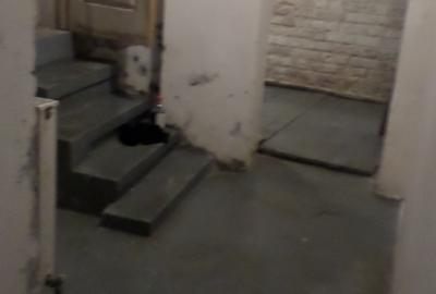 PIATA ROMANA, Dionisie Lupu, Pitar Mos,  spatiu SUBSOL  multifunctional - 8