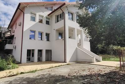 Proprietate generoasă, 18 camere, 800 mp utili, teren 1.300 mp – Iași, Bucium - 4