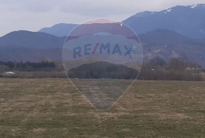 Teren 10,000mp Rasnov / Drumul Panicel - 1