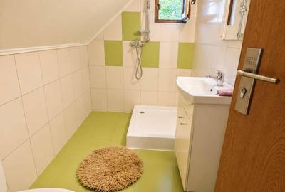 Vindem casa in Corbu - 10