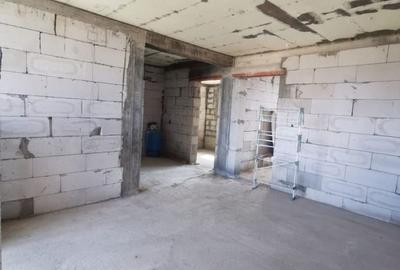 Casa la rosu în Plaiul Vulcănești - 11