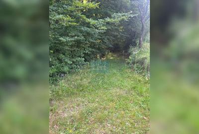 Teren cu potențial turistic, cadru natural rar, 20.000 mp  Sacuieu - 12