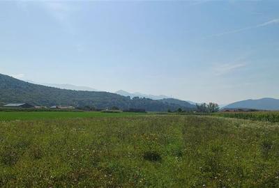 Teren intravilan 2500 mp  de vanzare - 3