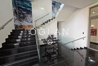 Spatii de birouri PREMIUM (nZEB) 320mp, ZONA CENTRALA - 15