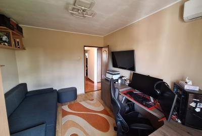 !! 3 Camere model mare.. zona Timocului-A. Saguna vedere spre Bega - 11