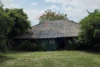 Domeniu rural, gospodarie/multifunctionala cu casa, livada, vie - 27