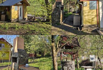 Proprietate 4200 mp Căndărăi cu cabană, livadă și anexe - 8