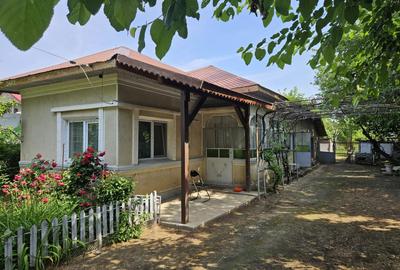 Casa + teren de vanzare Sat Ciocoveni, comuna Valea Dragului - 2