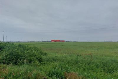 Teren extravilan sos. Arad - Sofronea - 4