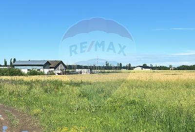 Vanzare Teren Intravilan Padure Izvorani (prin) Strada Florilor - 3