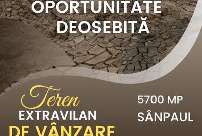 Teren agricol extravilan de 5700 mp, în Sânpaul