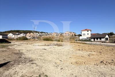 Teren intravilan / Zona Chinteni - 6