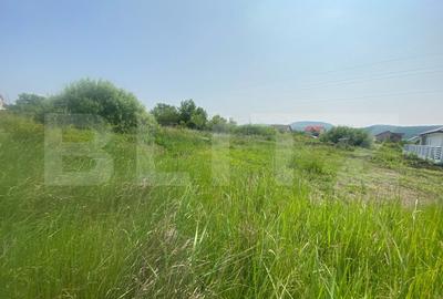 Teren Construcții intravilan de 900 mp, în Unirea