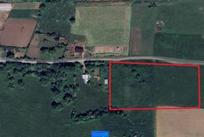 De vanzare teren 1,2 Ha in Laureni - 8