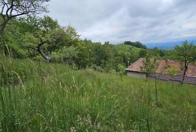 Domeniu Premium 1.7 Ha Intravilan Zărnești | Lizieră Pădure | Ideal Resort - 5