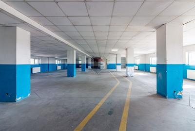 Vanzare Spațiu industrial-logistic 1550mp Centura B. Renovat 2024 ISU - 12