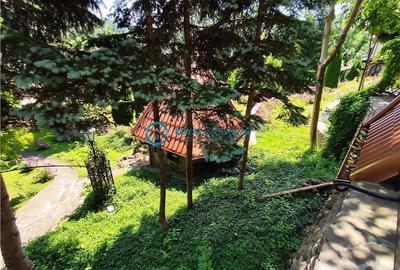 Royal Imobiliare -vanzare vila/ casa de vacanta zona CAMPINA - 27