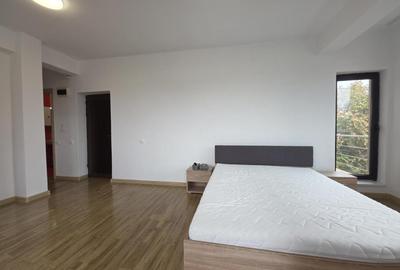 Inchirieri Garsoniere Bucurestii noi - Parc Bazilescu - 2