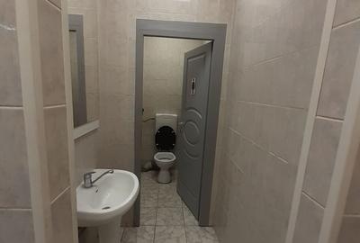 Zona bd. Th. Pallady - hala si birouri 550mp - 9