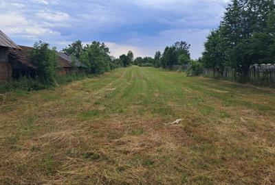 Teren Construcții intravilan de 3677 mp, în Polovragi