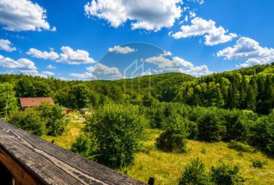 Refugiu în inima naturii | Proprietate premium în Pădurea Bogății - 4