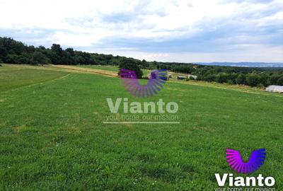 Teren agricol extravilan de 3100 mp, în Rășinari