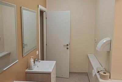 Spatiu DE INCHIRIAT, 425 mp, Etaj 1, Drumul Taberei 18, Orizont - 11