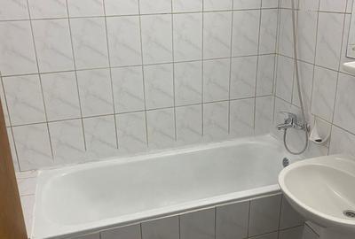 Inchiriere Apartament 2 Camere Teiul Doamnei Obor Tei Colentina - 8