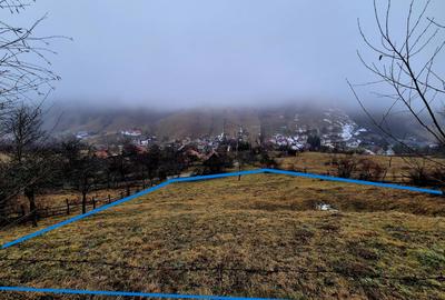 Teren intravilan Simon/Bran, 4318 mp , casuta intabulata, utilitati - 3