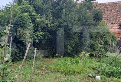 Proprietate cu farmec rural în Beclean, aproape de Făgăraș - Beclean - 5