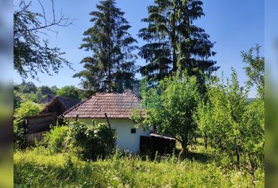 Teren 7200 mp, casa veche, apa, curent 35 km de Cluj Napoca, Topa Mica - 2