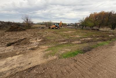 Teren 1000 mp Ordoreanu lângă pădure | Utilități la drum | Cumpără direct - 3