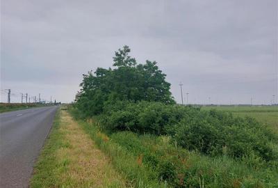 Teren extravilan sos. Arad - Sofronea - 5