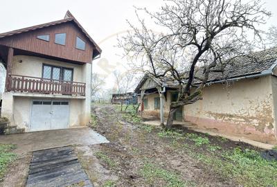 De vânzare 2 Case de vinificație cu Teren 4108 mp - Grădina Viilor - Carei - 2