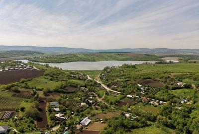 Teren Construcții intravilan de 8000 mp, în Ciurbești