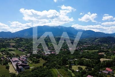 Teren intravilan 1173 mp cu utilități și cabană în Predeluț, Bran – Comision 0% - 8