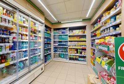 SPATIU COMERCIAL STRADAL /  Sector 5 / Sos BUCURESTI-MAGURELE - 12