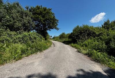 Teren doua loturi 3100 mp. - 2800 mp. Dăesti - Valcea - 1